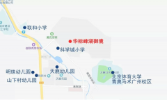 为业从供给极致的不雅体验